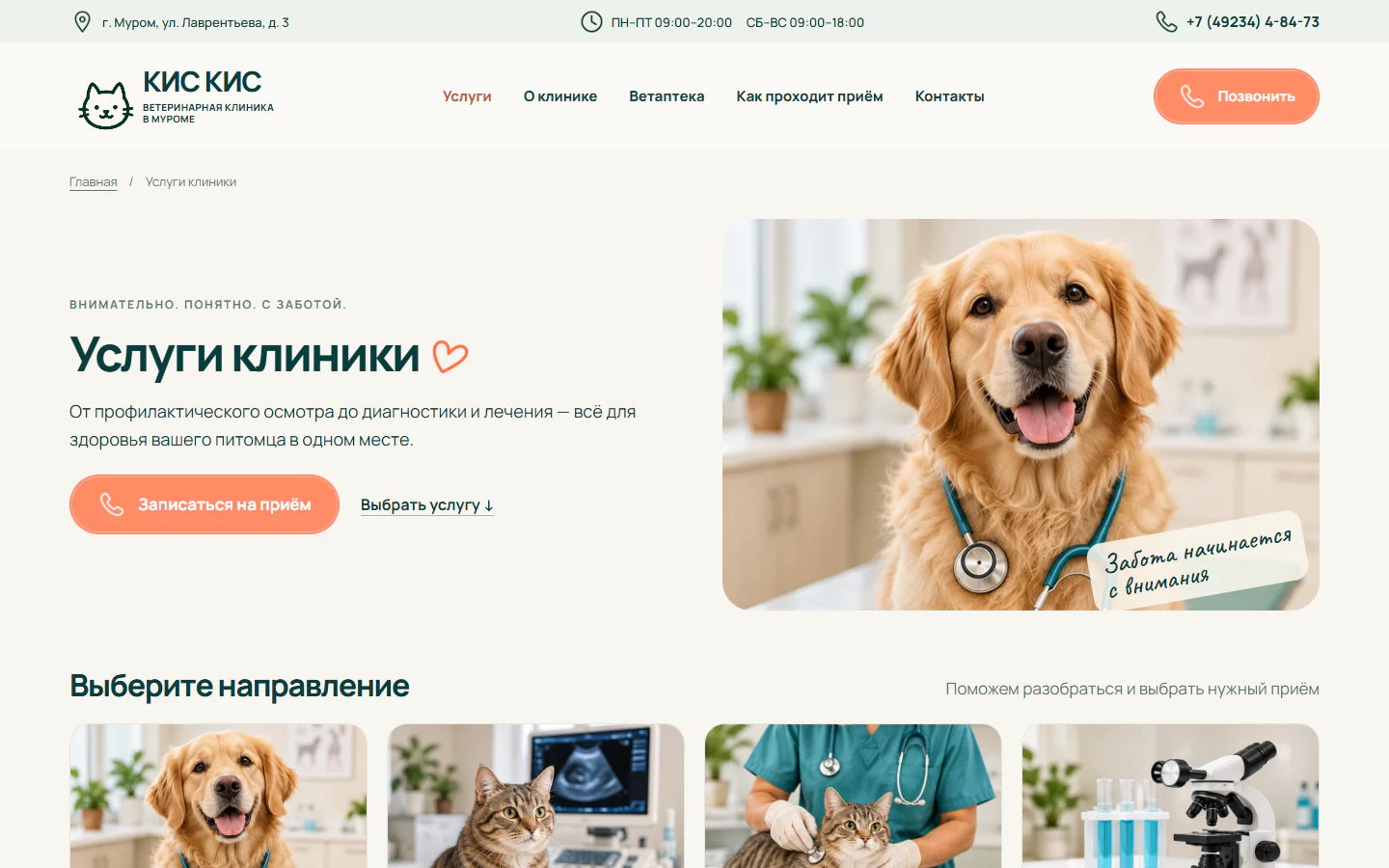 Раздел услуг клиники: от осмотра до диагностики и лечения.